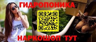 стаф Ливны