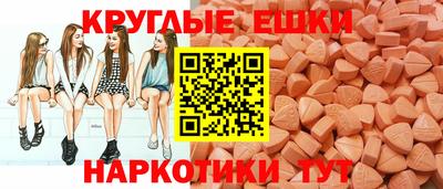 spice Кунгур